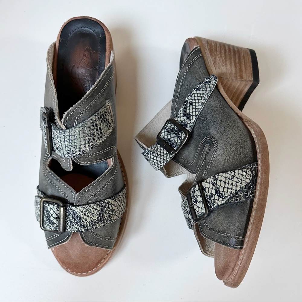 freebird Gray Snake-Print Leather Buckle Mules